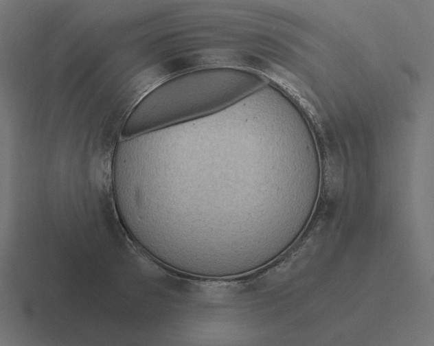 X0000116480897200912292044