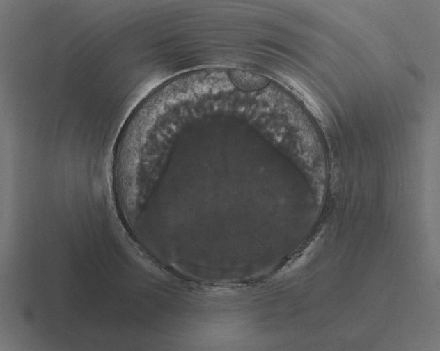 X0000116480899200912292044