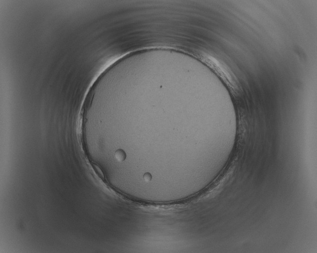 X0000116480900200912292044