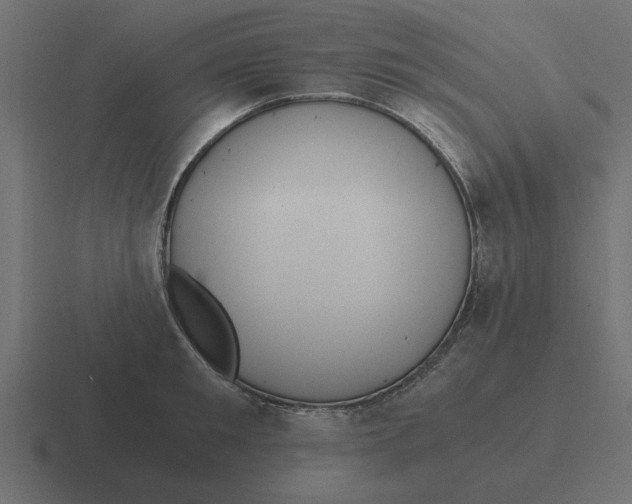 X0000116480901200912292044