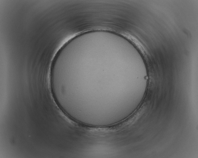 X0000116480902200912292044