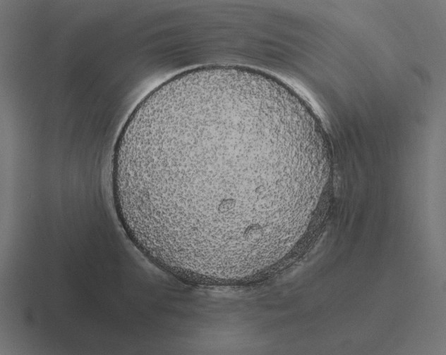 X0000116480903200912292044