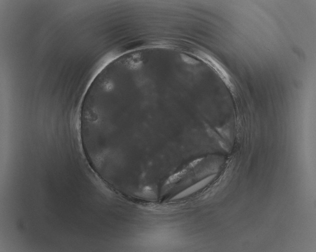 X0000116480907200912292043