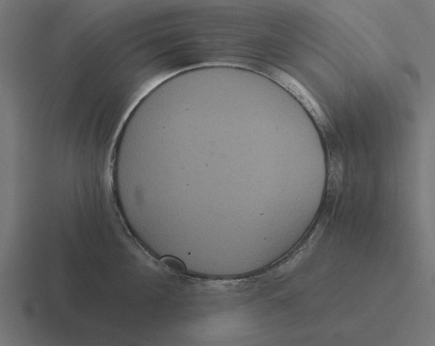 X0000116480908200912292043