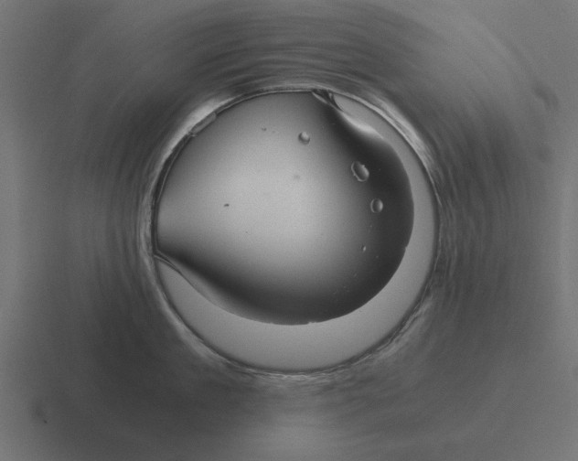 X0000116480909200912292043