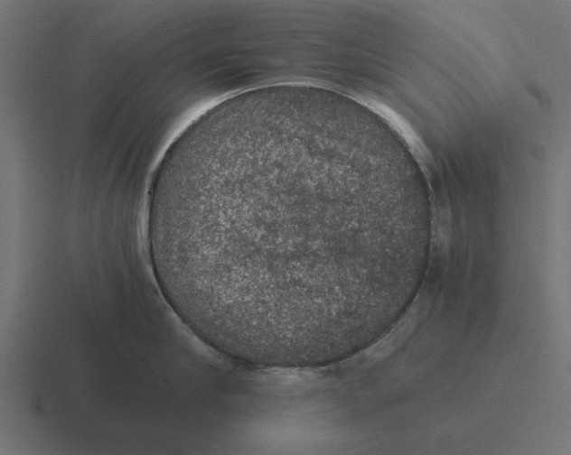 X0000116480910200912292043