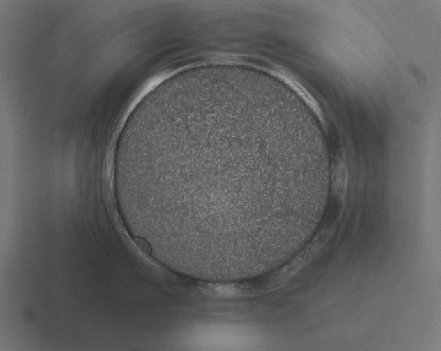 X0000116480911200912292043