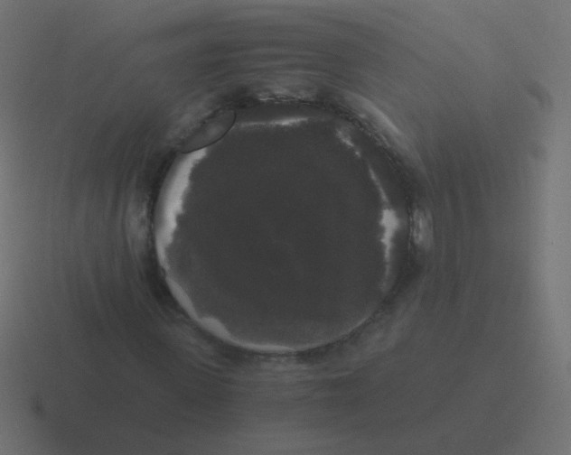 X0000116480915200912292043