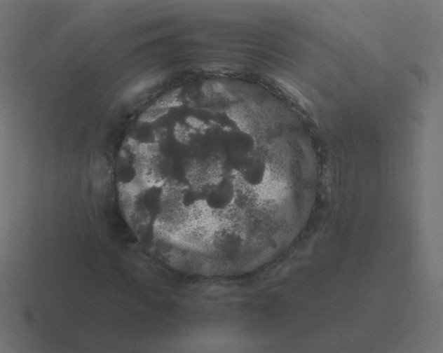 X0000116480917200912292043