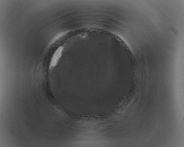 X0000116480919200912292043