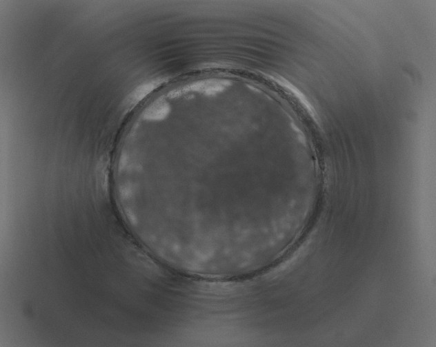 X0000116480921200912292043