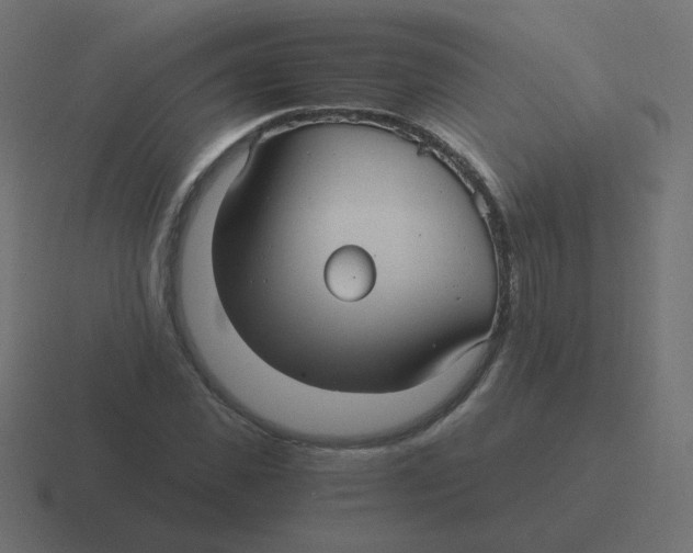 X0000116480925200912292043