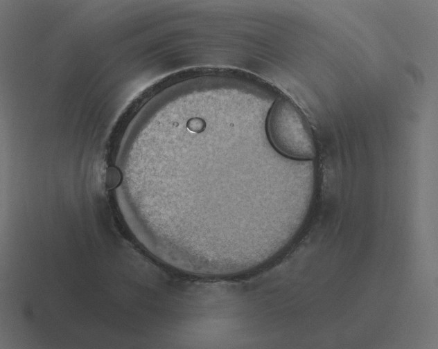 X0000116480926200912292043