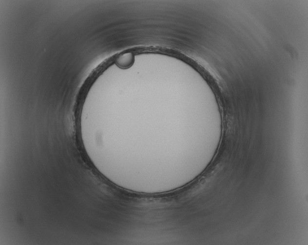 X0000116480927200912292043