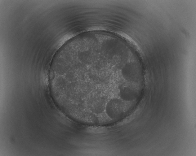 X0000116480929200912292043