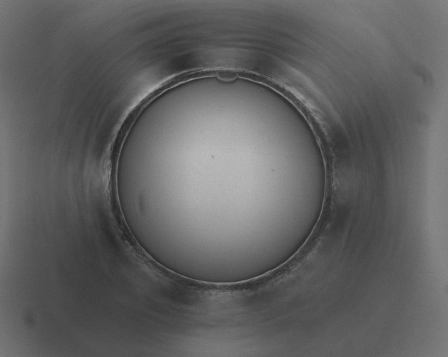 X0000116480933200912292043