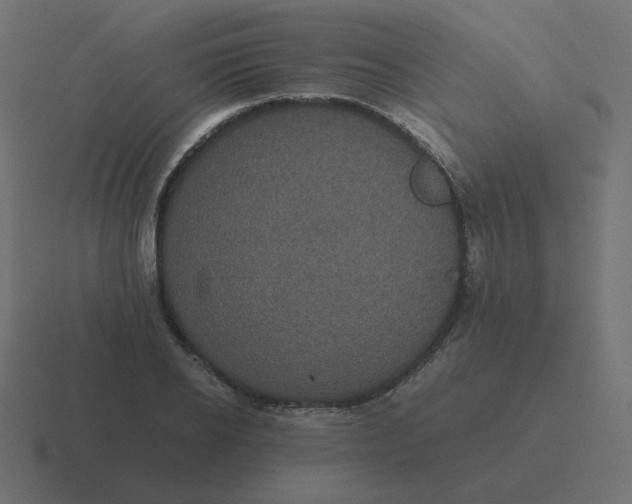 X0000116480934200912292043