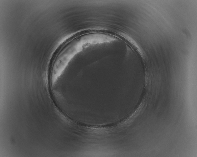 X0000116480935200912292043