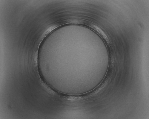 X0000116480938200912292043