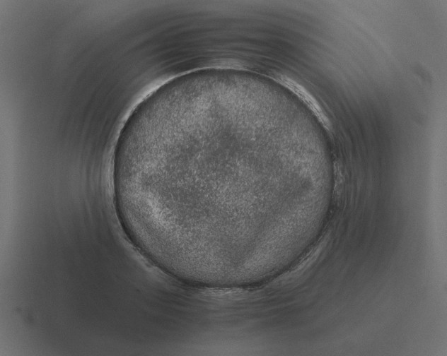 X0000116480939200912292043