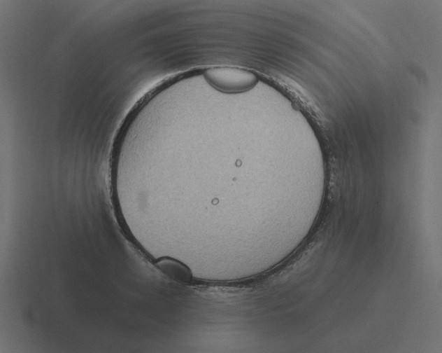 X0000116480942200912292043