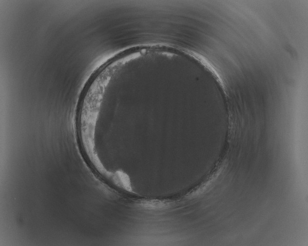 X0000116480943200912292043