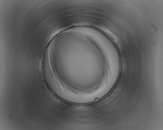 X0000116480945200912292043