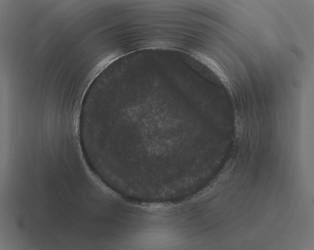 X0000116480946200912292043