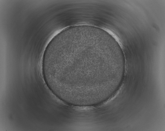 X0000116480949200912292043