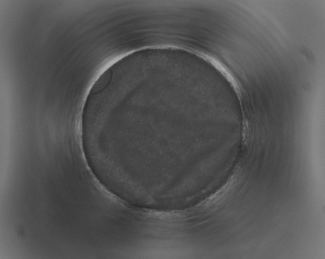 X0000116480951200912292043