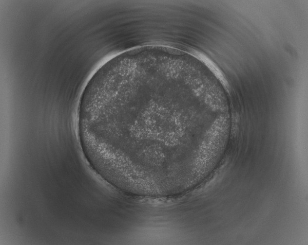 X0000116480955200912292043