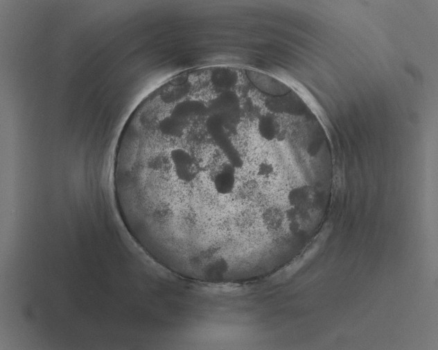 X0000116480957200912292043