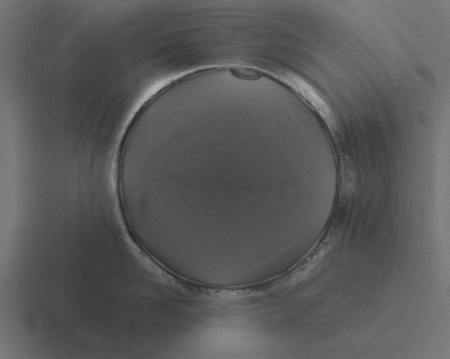 X0000116480958200912292043