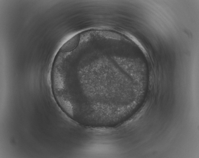 X0000116480959200912292043