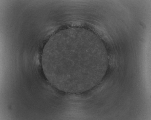 X0000116480962200912292043