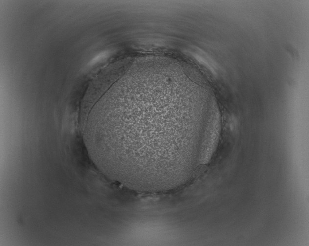 X0000116480965200912292043