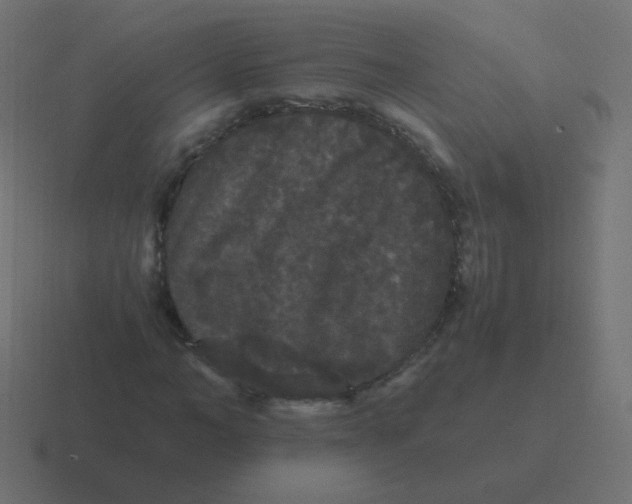 X0000116480966200912292043