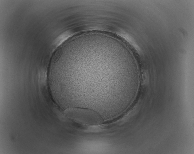 X0000116480969200912292043