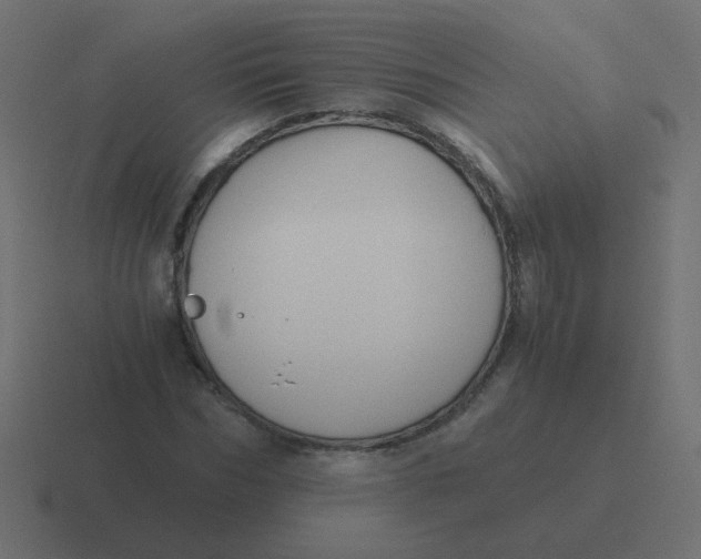 X0000116480970200912292043