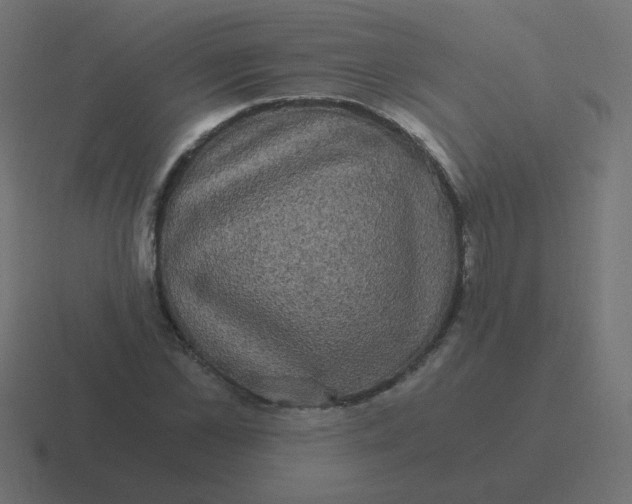 X0000116480973200912292043