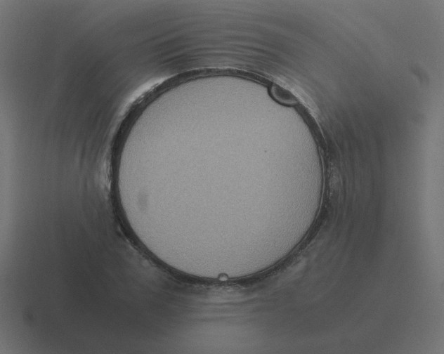 X0000116480979200912292043