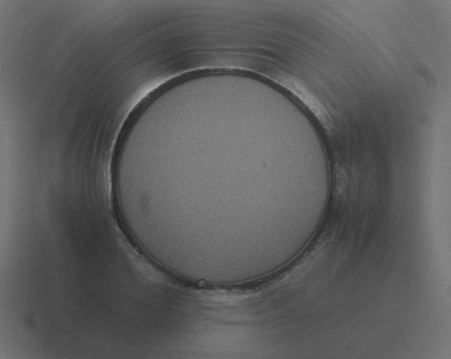 X0000116480980200912292043