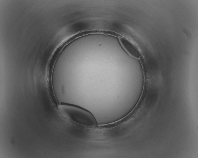 X0000116480981200912292043