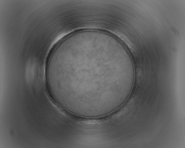 X0000116480982200912292043