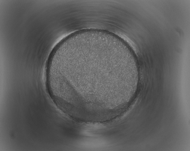 X0000116480983200912292043