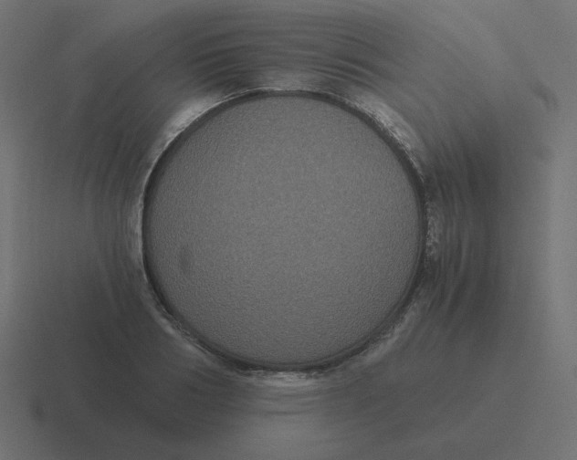 X0000116480986200912292042