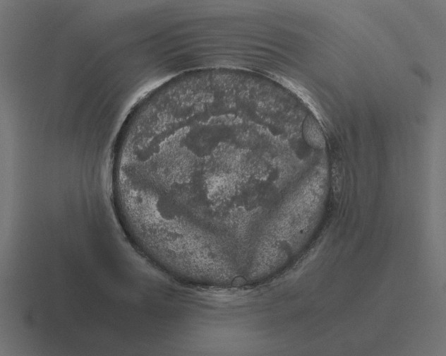 X0000116480987200912292042