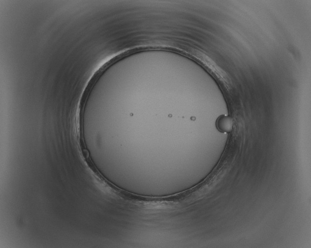 X0000116480988200912292042