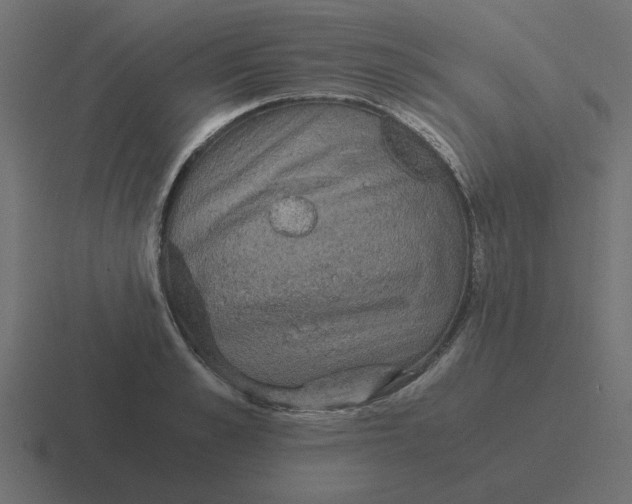 X0000116480989200912292042