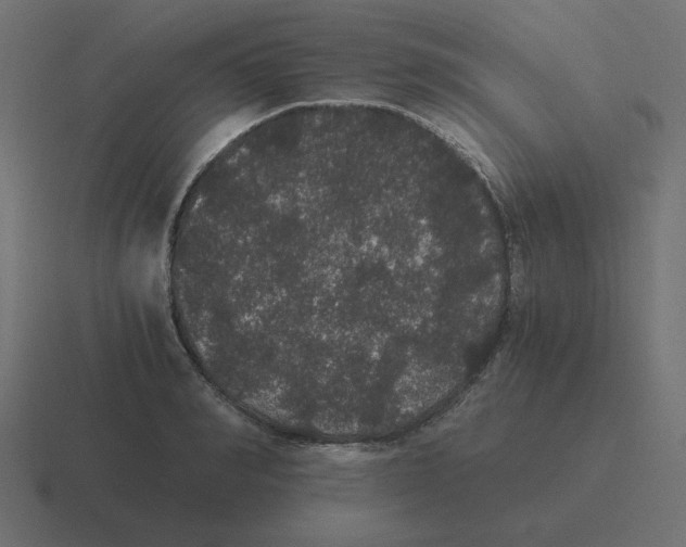 X0000116480990200912292042